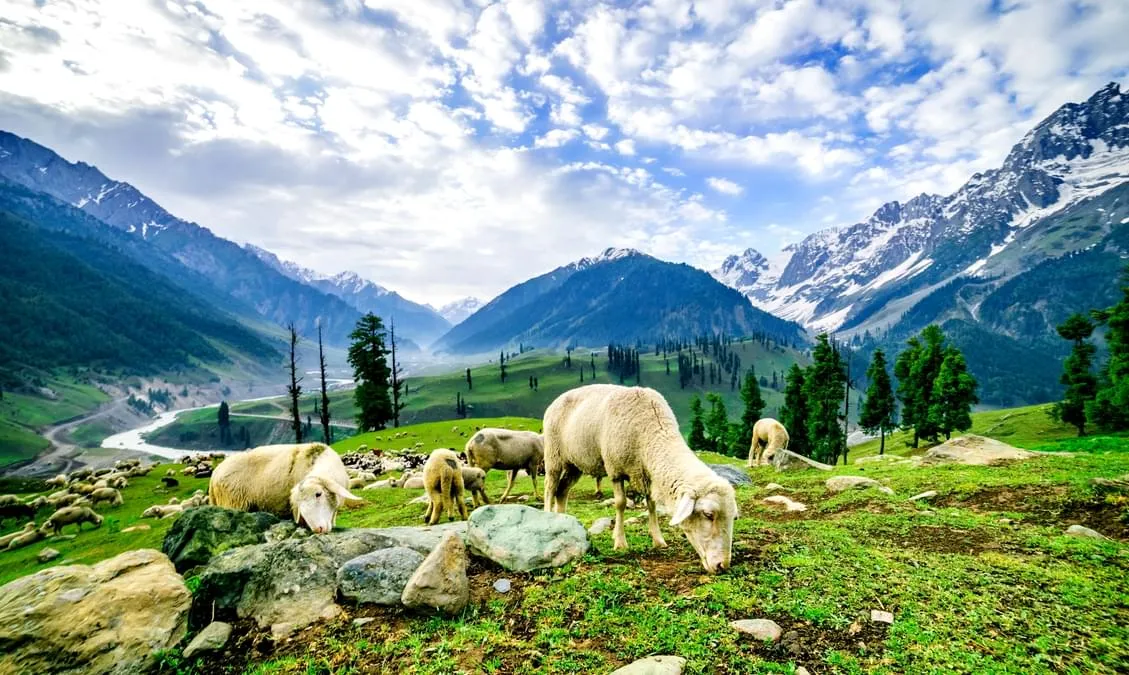 Kashmir Unplugged: Beyond the Postcard, Offbeat Tour.