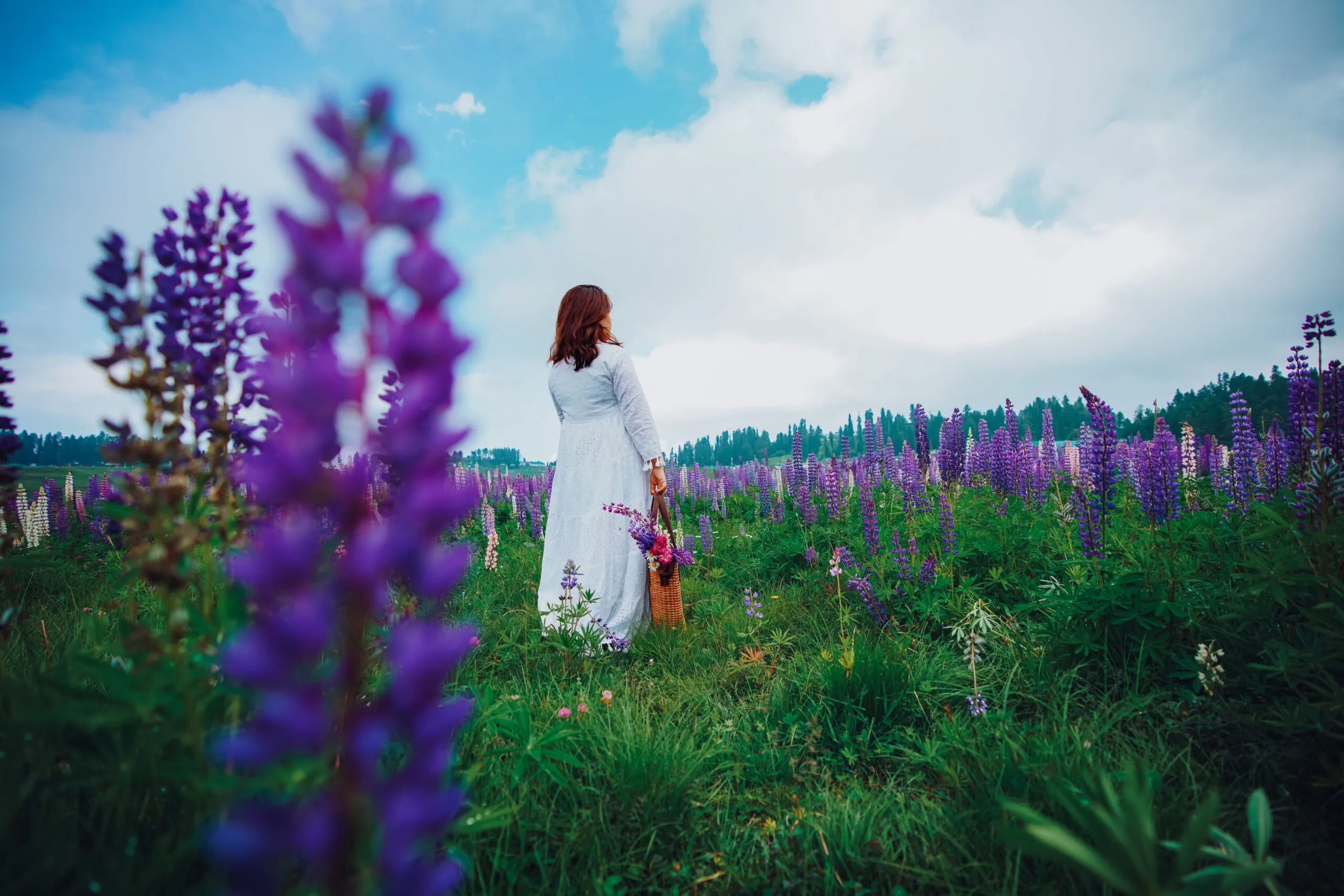 Wild, Wistful, and Untamed: The Kashmir You Didn’t Know.