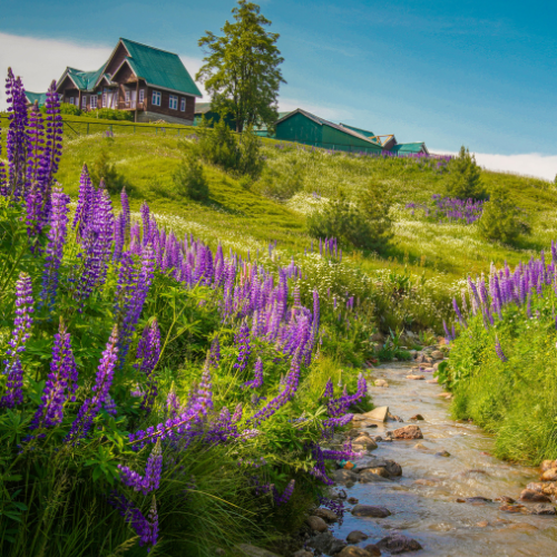 gulmarg summers