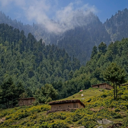kokernag